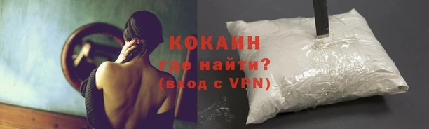 spice Аркадак